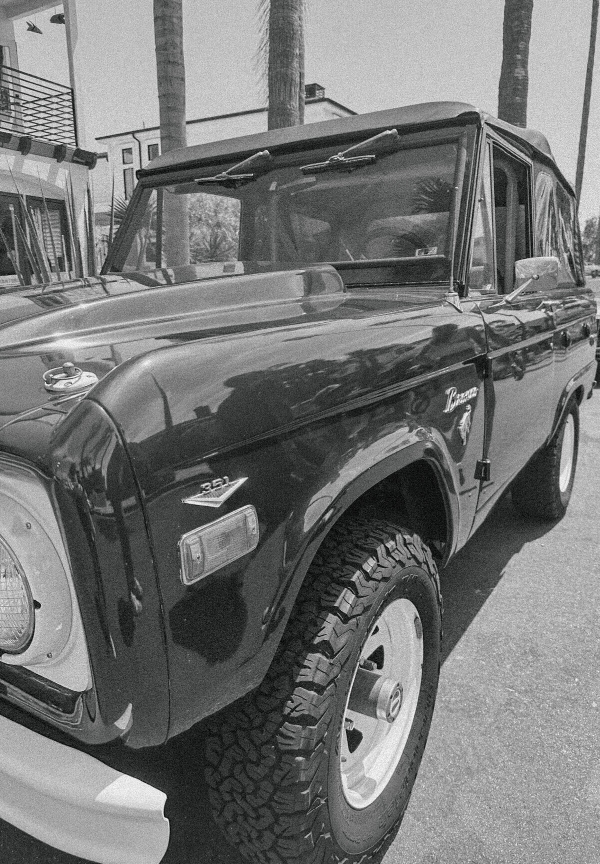 Belleza Sol - Bronco