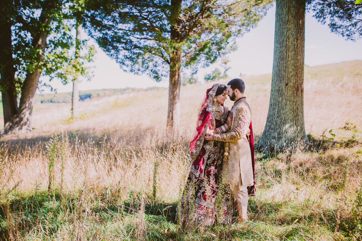indian-wedding-long-island-ny-hindu