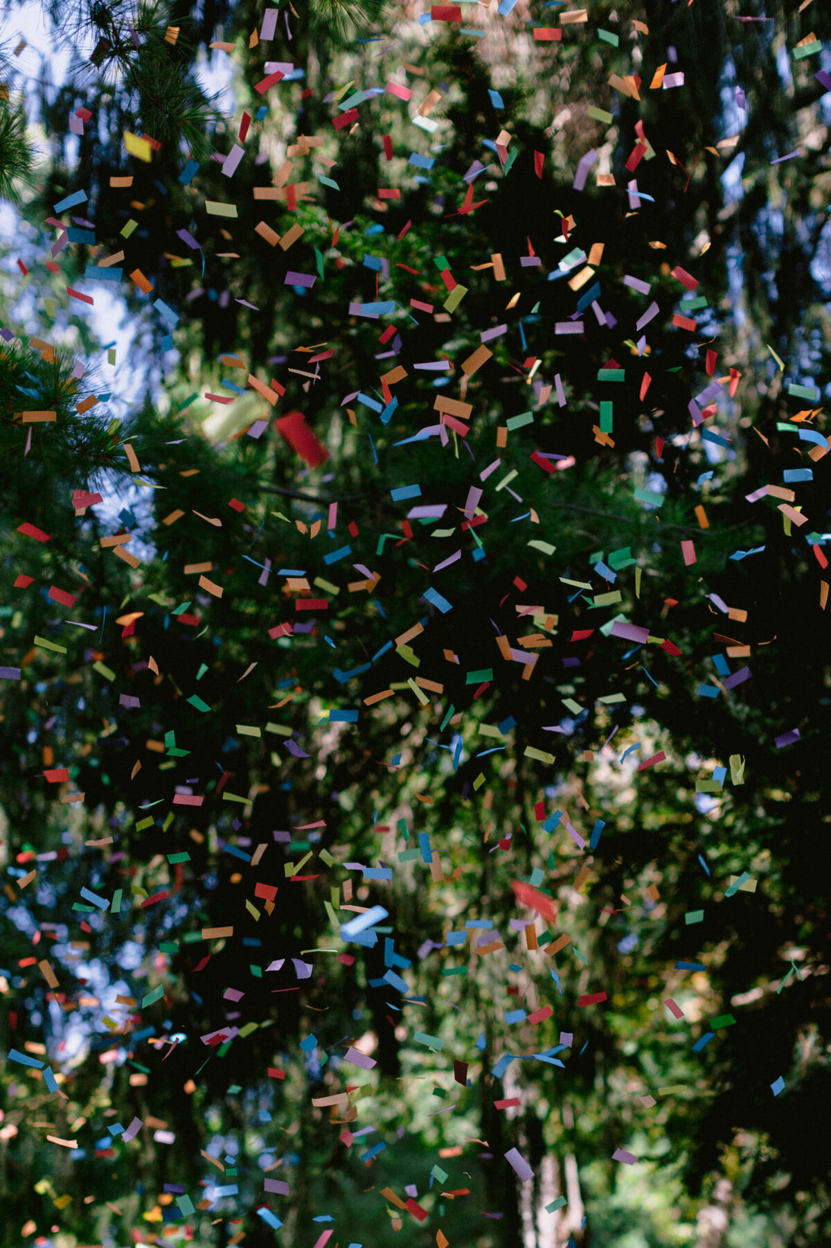 tarrytown-house-estate-new-york-wedding-sava-weddings-31-scaled