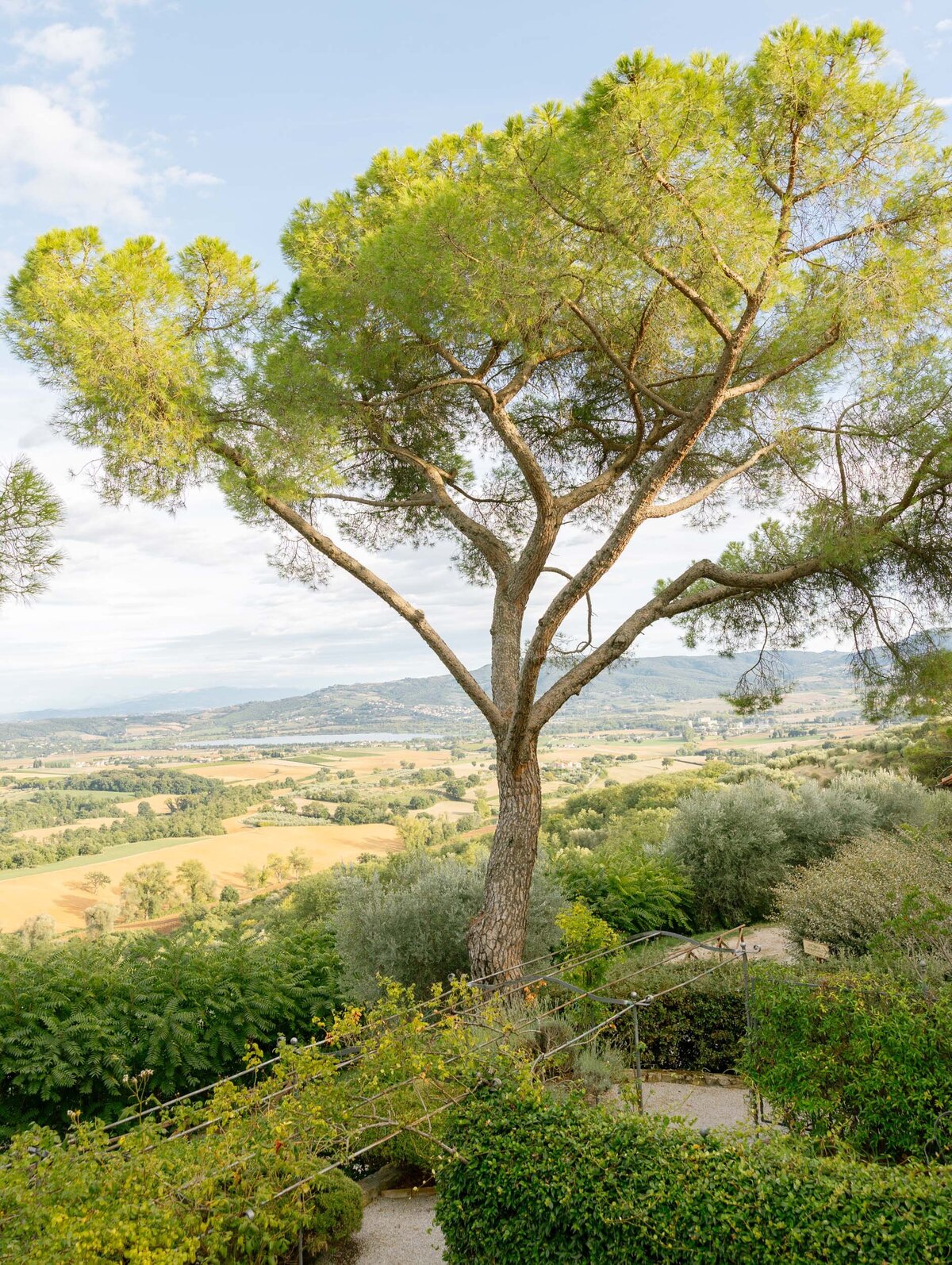 Fall Wedding in Umbria Italy (84 von 183)