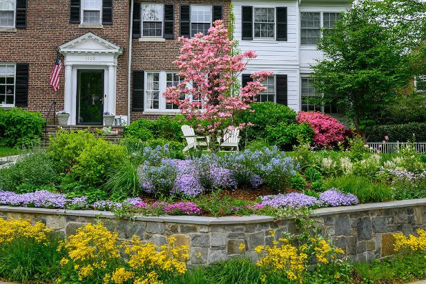 Native Planting 1