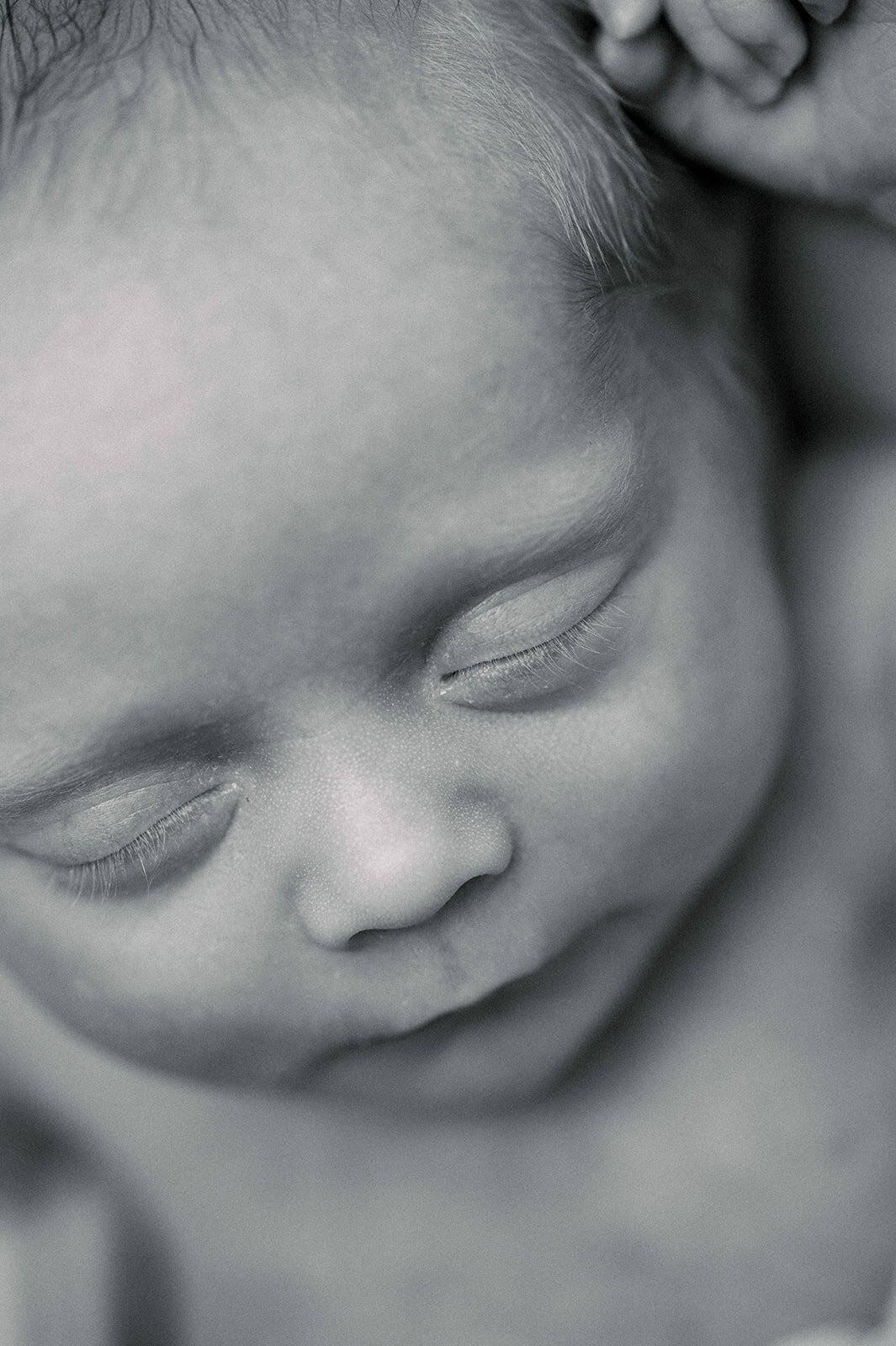 carmen_may_photography_pittsburgh_newborn_photos-30