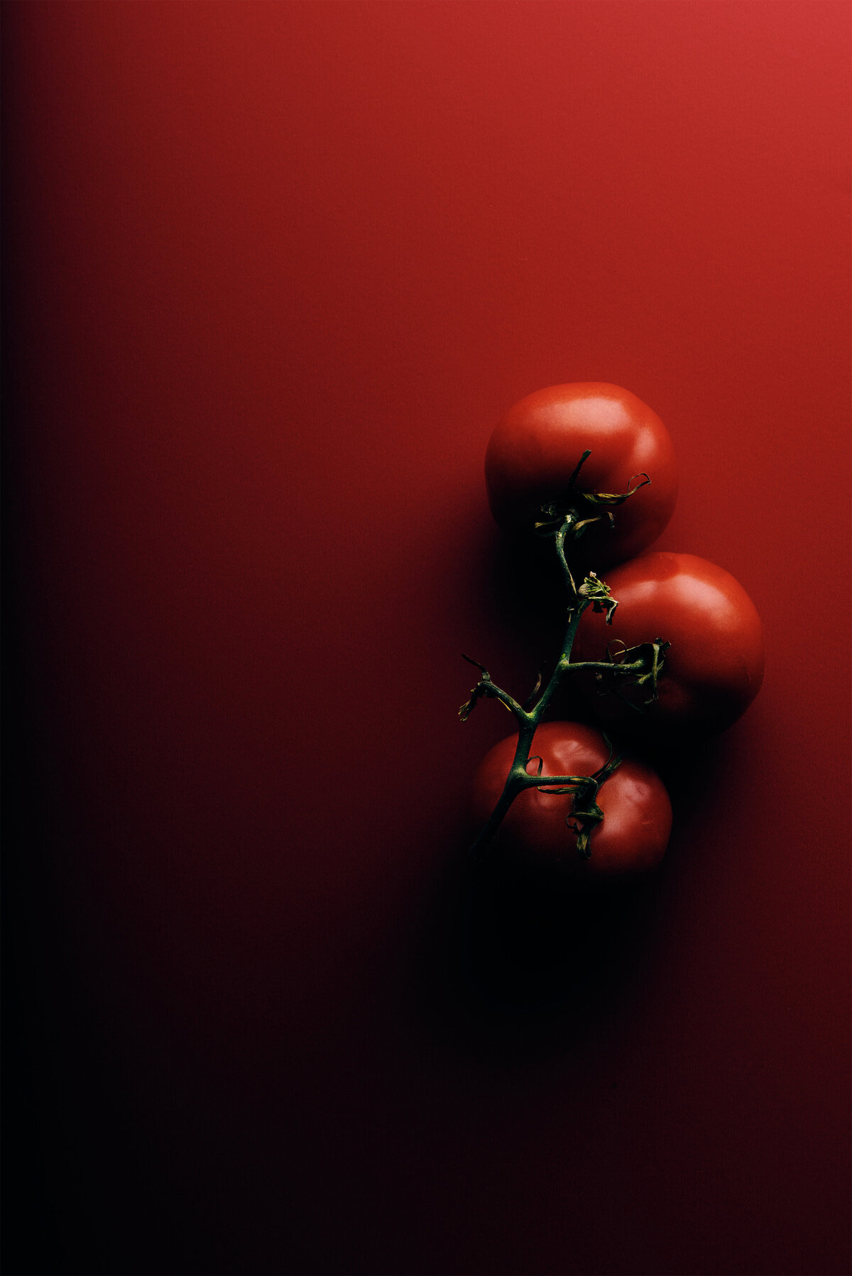 Red Tomatoes0160-tw-sm