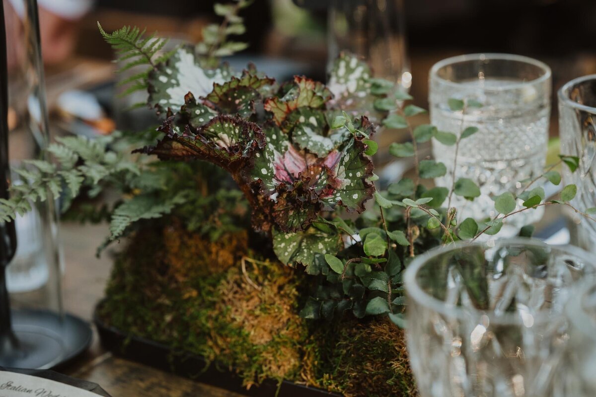 Yosemite_wedding_photographer_97