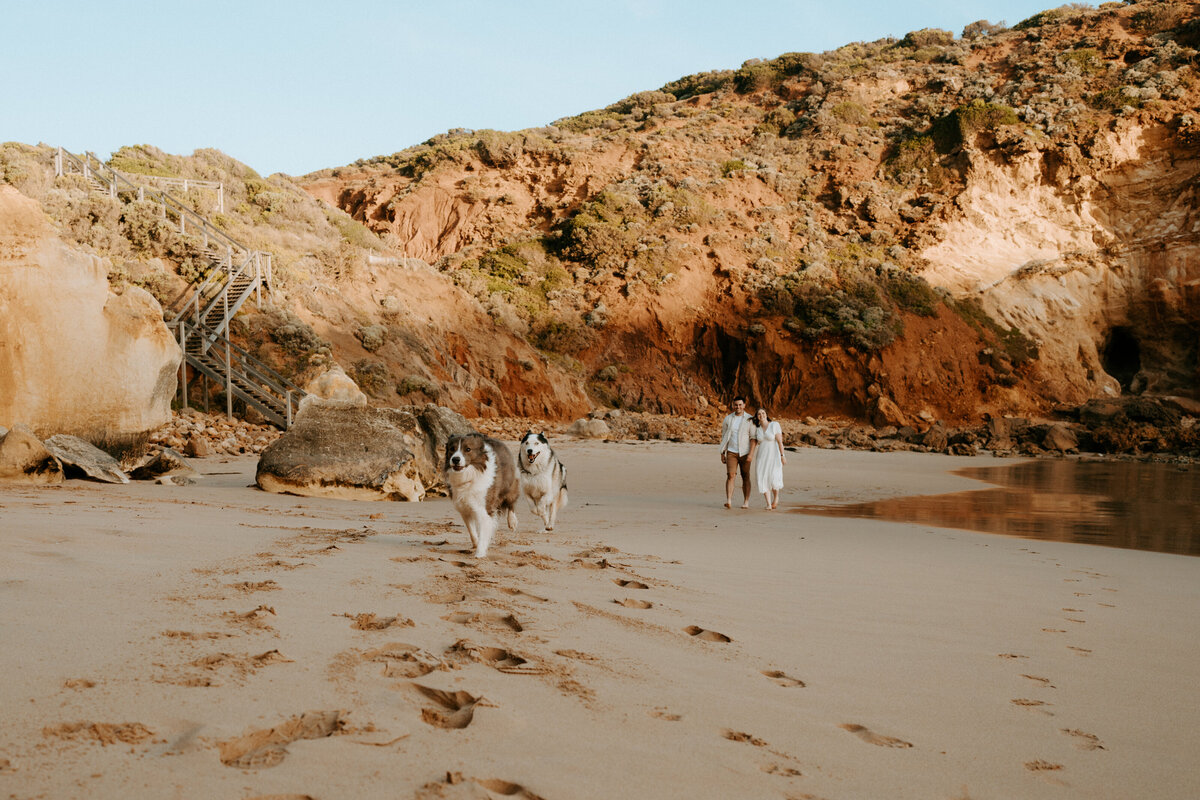 2024-02-27-Bree + Pat Beach Engagement Session Warrnambool Daisy + Pine-179