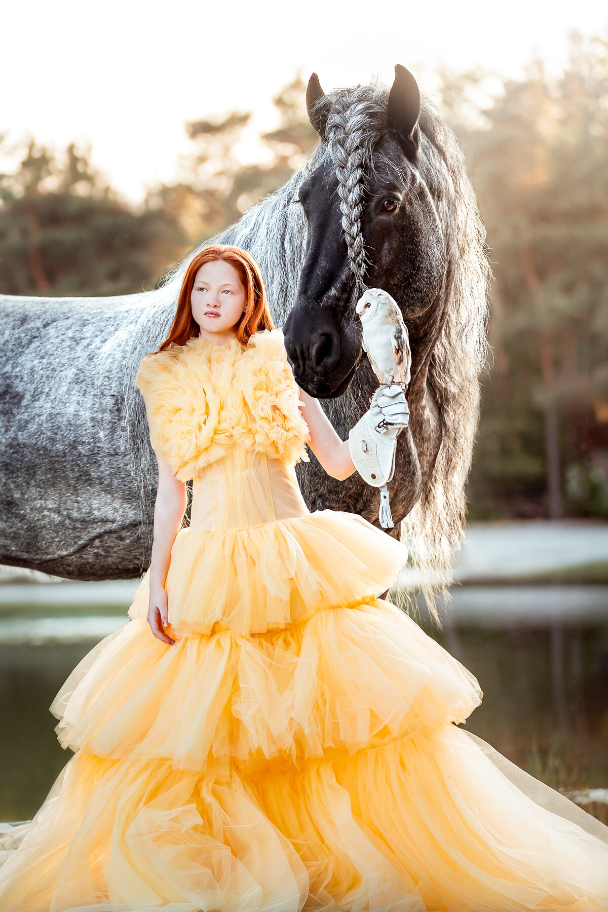 DSC09357-Edit-Edit-Edit-Edit