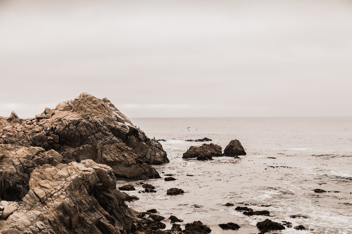 201907SanFranciscoDay1-59