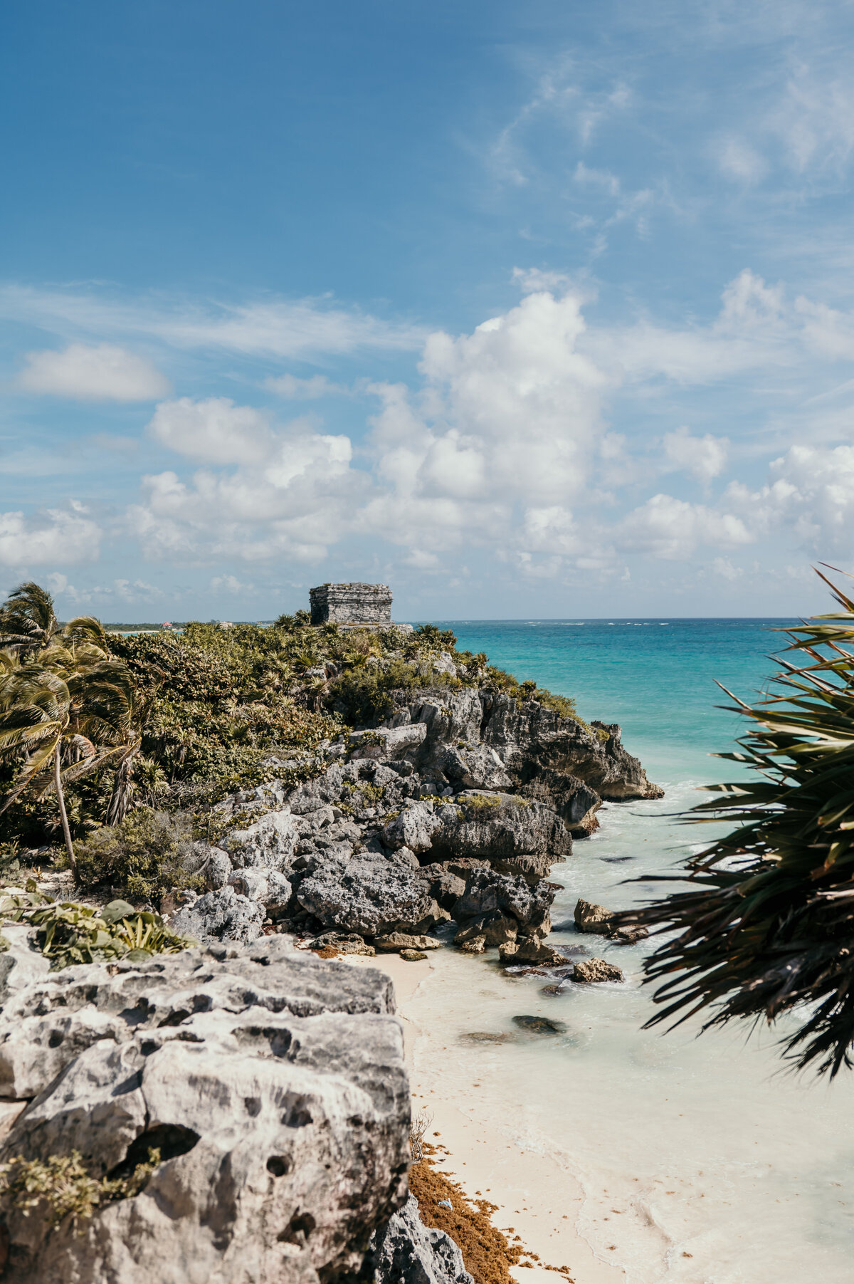 BBCTulum25-1153