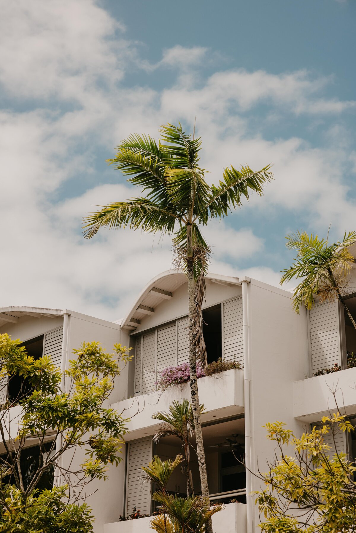 portdouglasweddingphotos-17