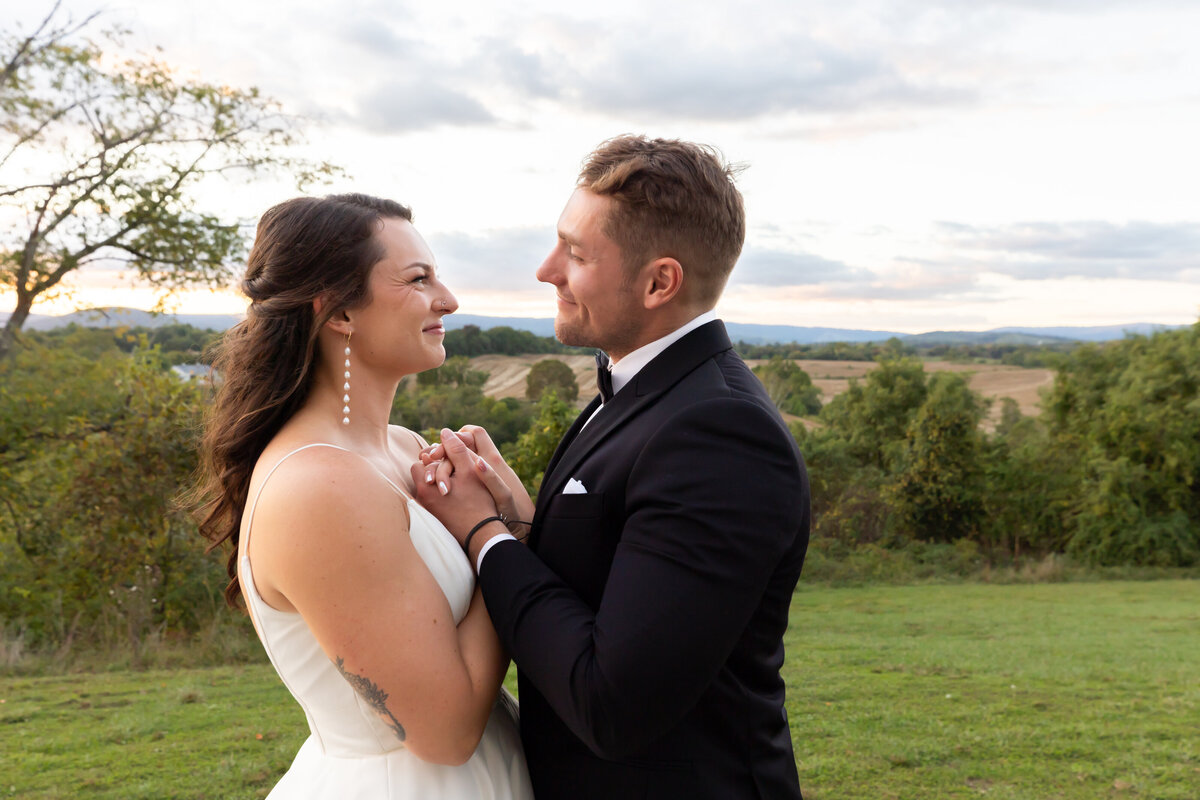 loudoun-studios-wedding-bluemont-blue-valley-vineyards-virginia00028