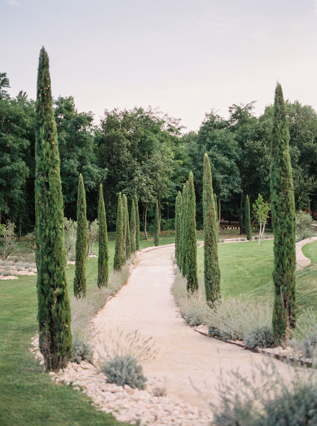 A+QWedding_NikiRhodesPhoto-1031