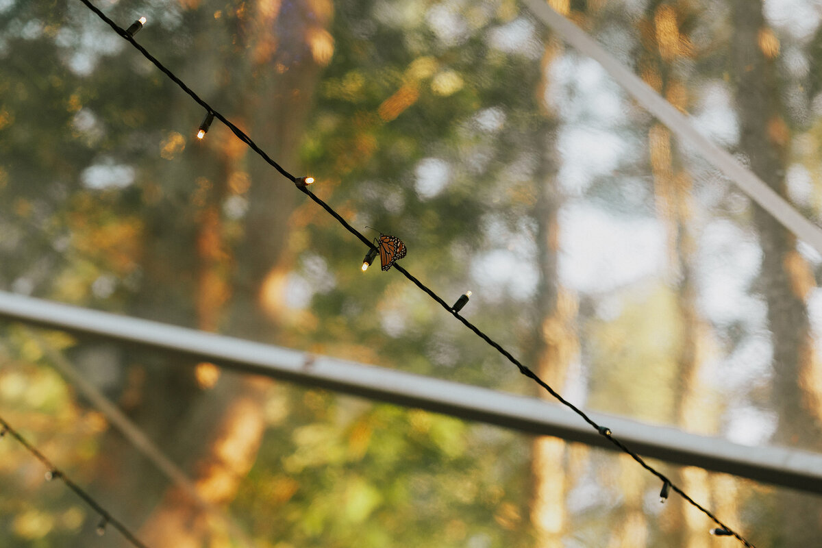 Megan & Zack (1324 of 1576)