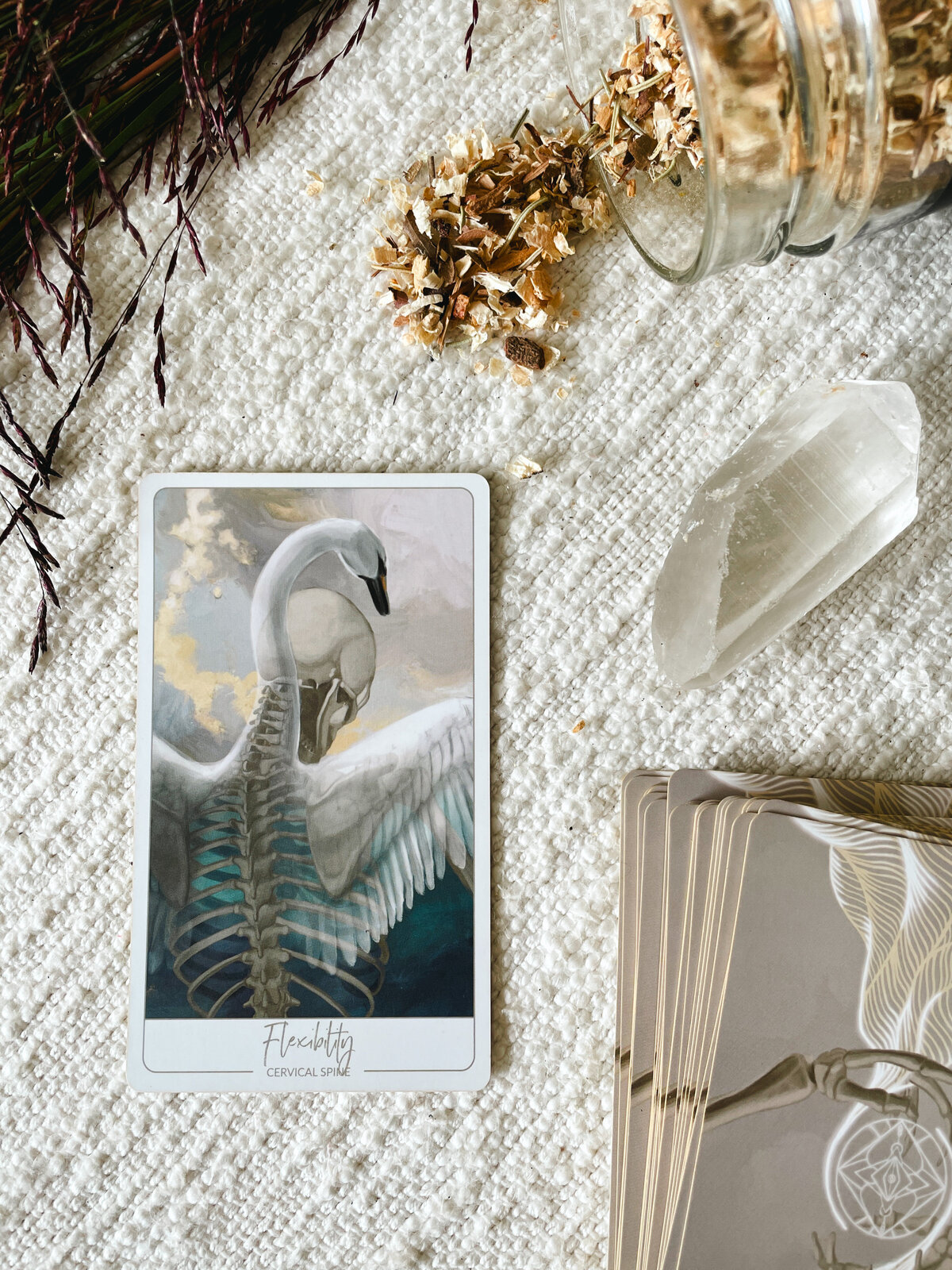 Close up of the "Flexibility" Oracle Card showing the neck and wings of a swan morphing out of the cervical spine of a skeleton