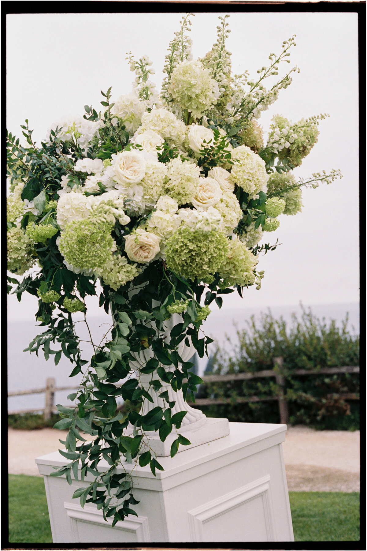 DearVincent_Tyler Speier Events-film-26