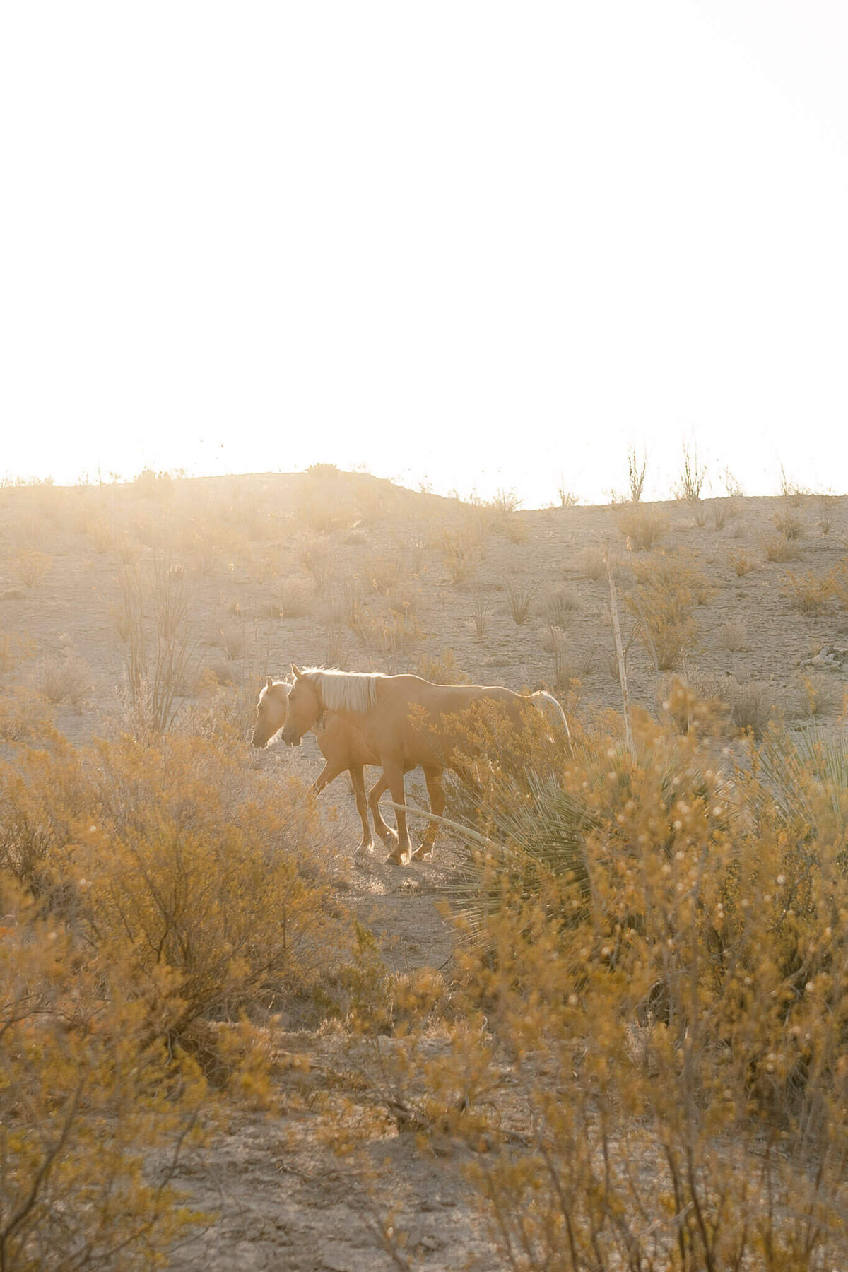 Texas-Elopement-Photographer-273