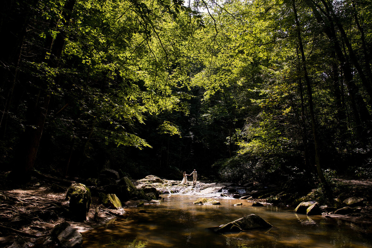 couple walks across a river, framed by green leaves as the sun filters through, seen from far away 