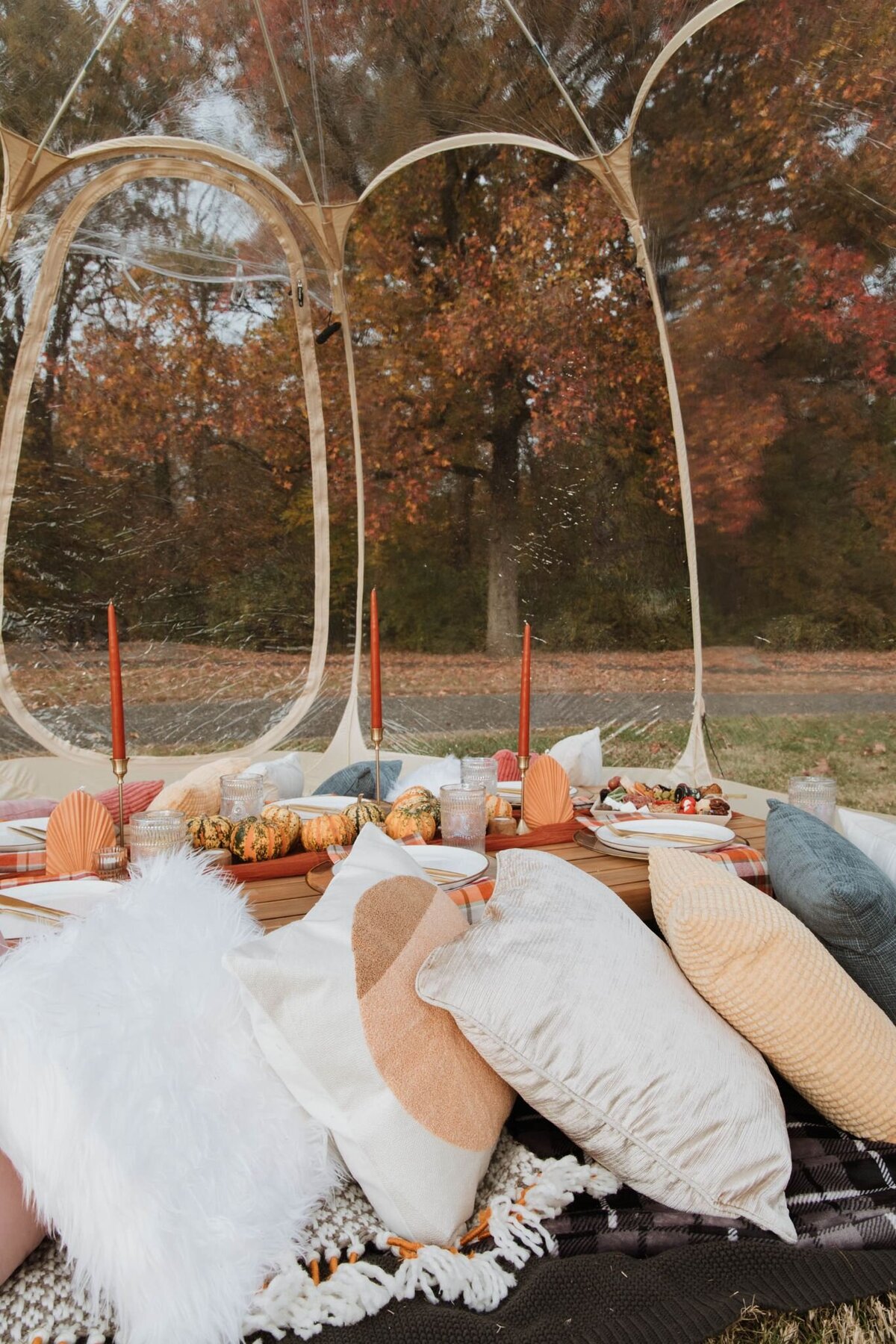 cherry-hill-fall-picnic-25