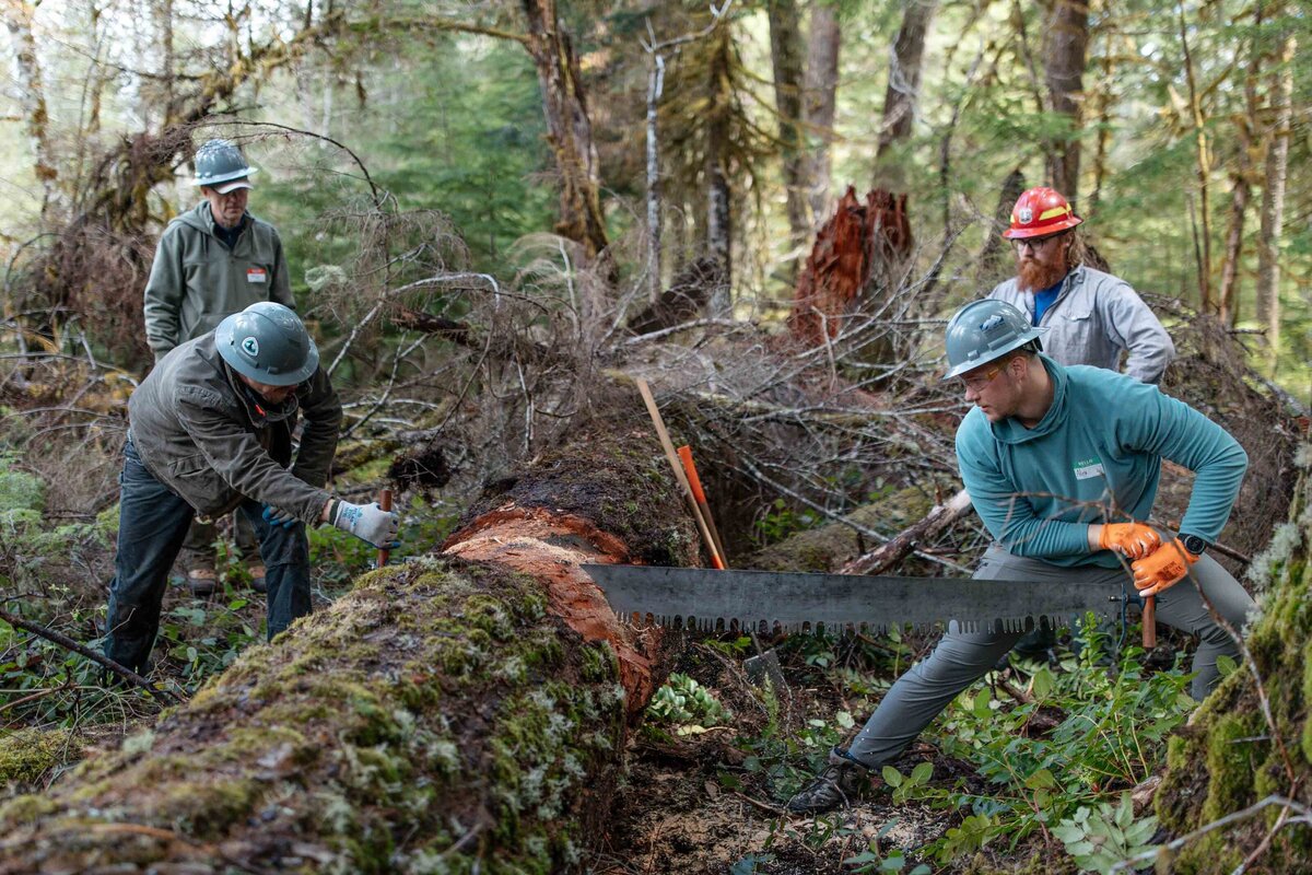 pacific-crest-trail-association-work-crews-hike-22