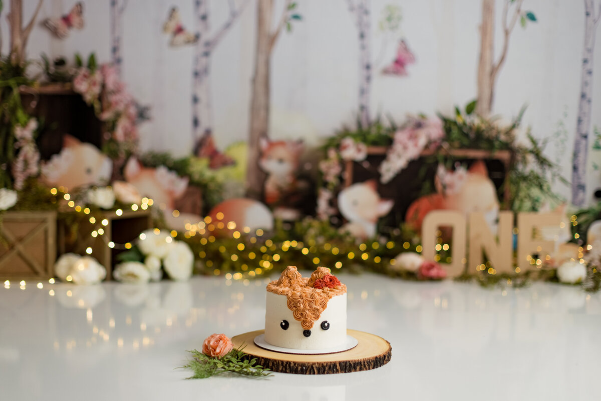 Huntsville AL Best Cake Smash First Birthday Photographer Studio