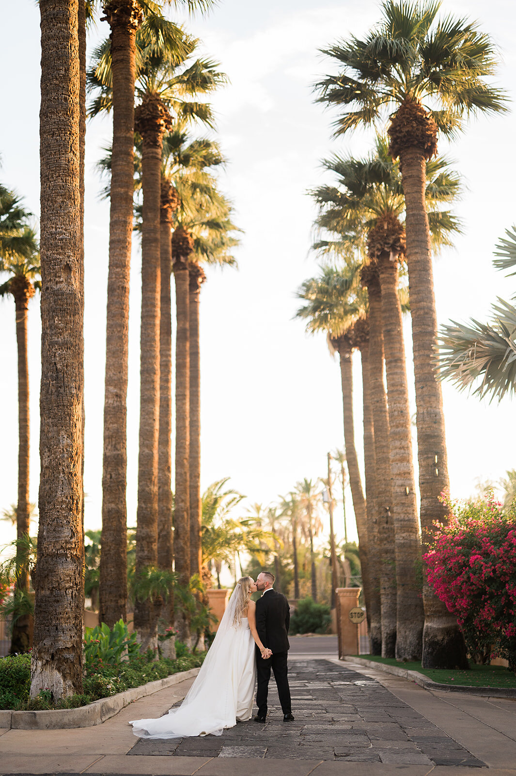 Royal Palms Wedding - Tara Nichole Photo - 2023 - Susanna and Kash-1076