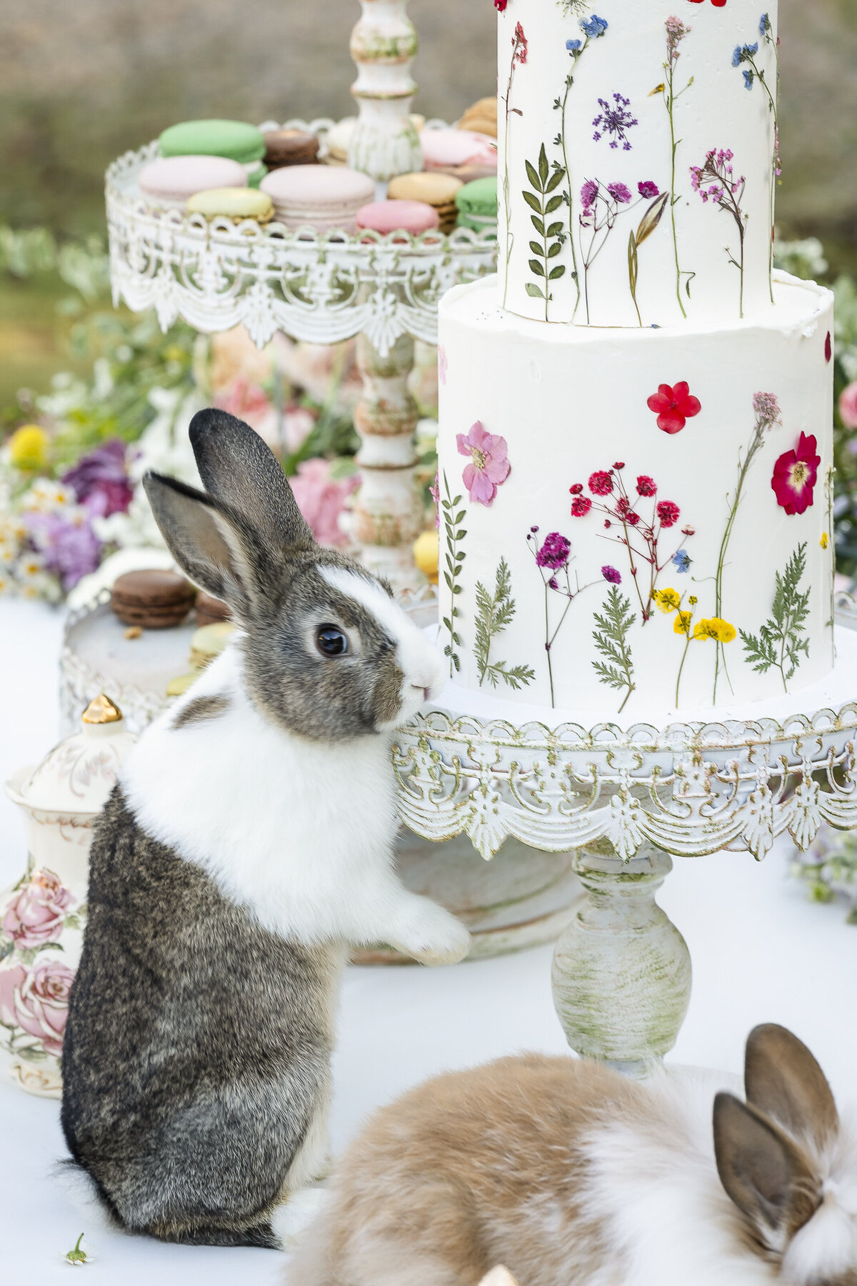 dove&fox_photos_whimsy2_tabledts_35