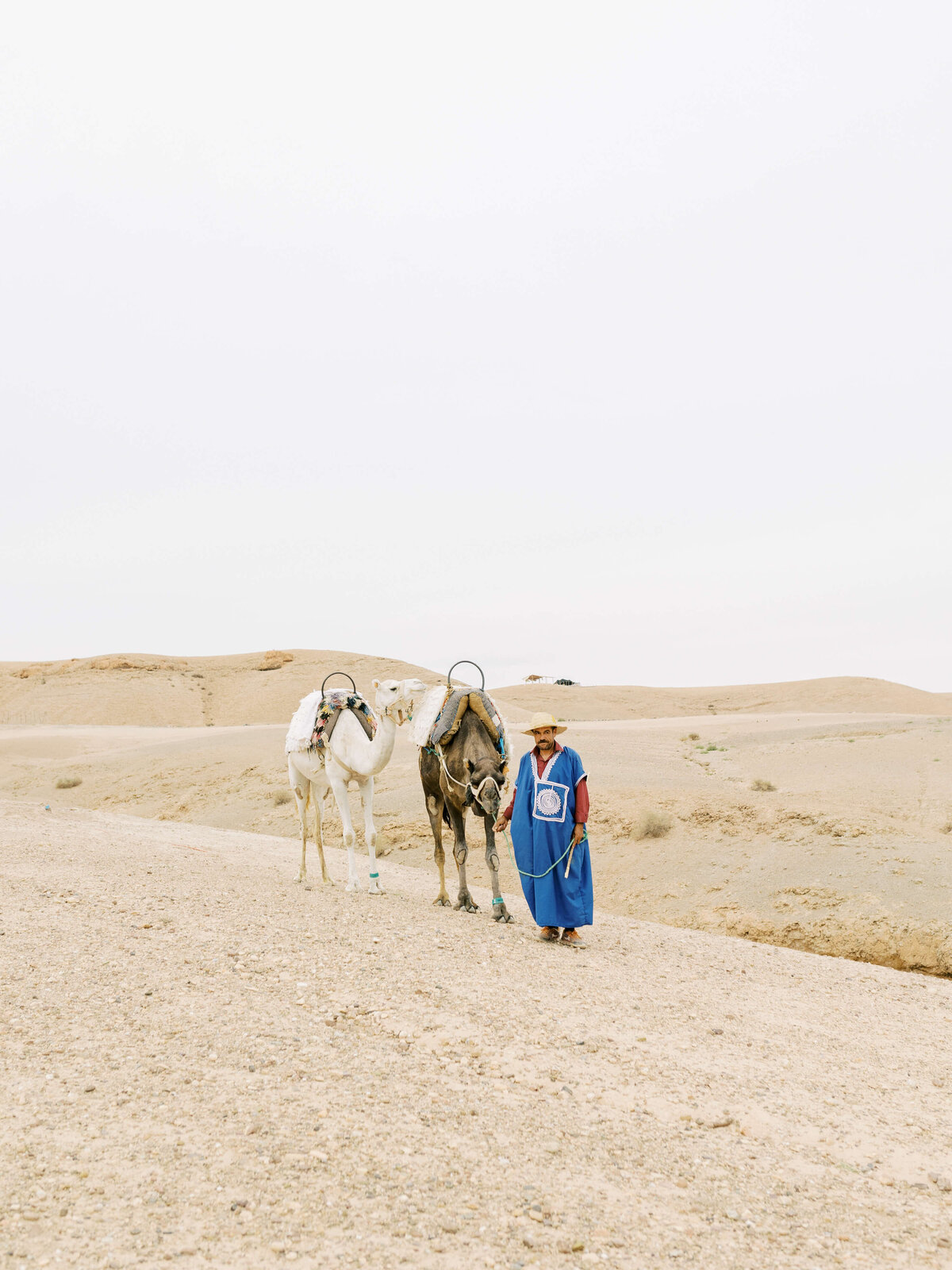 ©Diane Sotero Photography_Destination Wedding_Scarabeo Camp Wedding__ Agafay Desert_Marrakech_Morocco_154