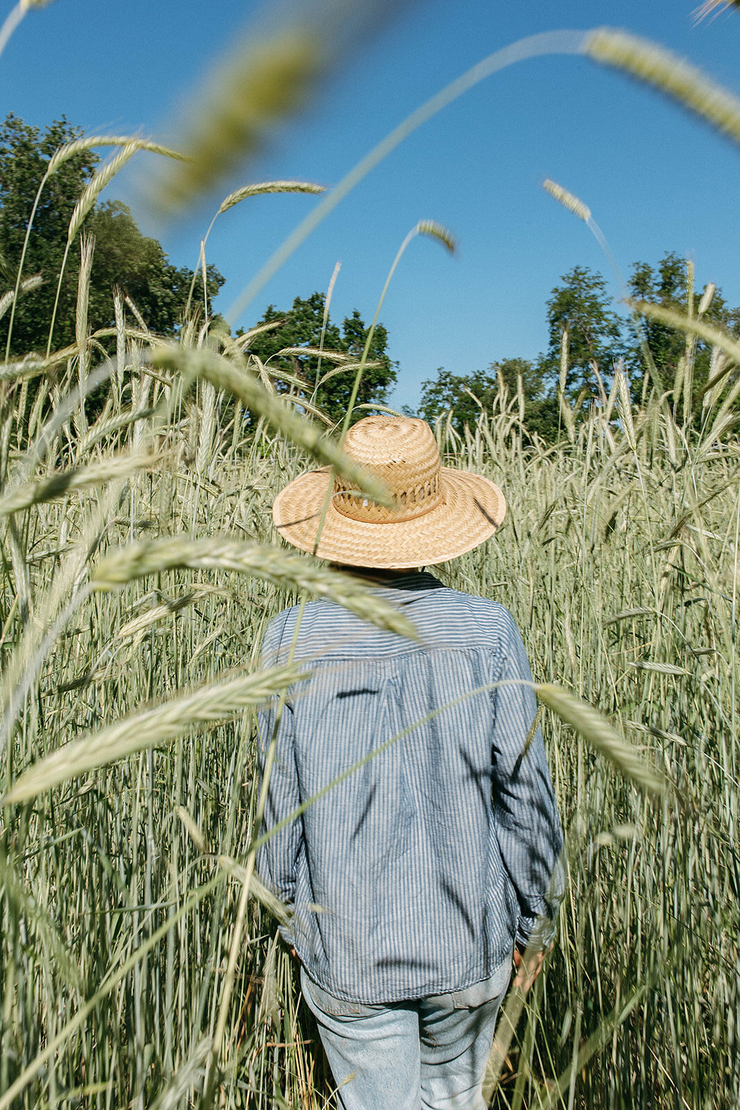 Burns_Blossom_Farm_May2023_danipadgett13987_websize (1)