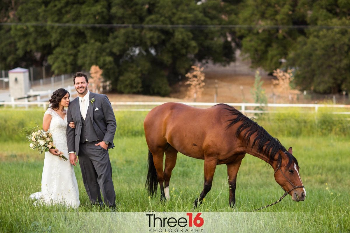 Bride and Groom posing in the field alongside a horse