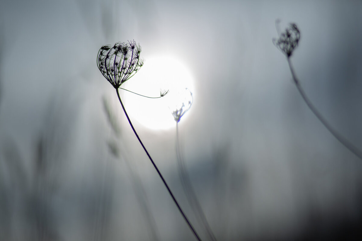 fine_art_photographer _017