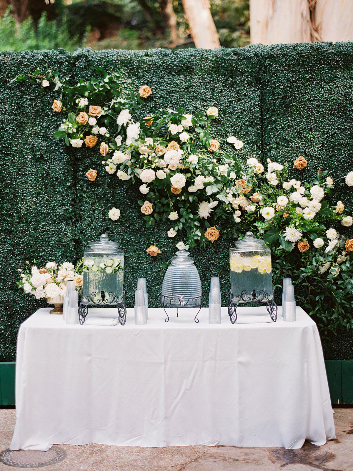 Dmytrenko Wedding Preview (64)