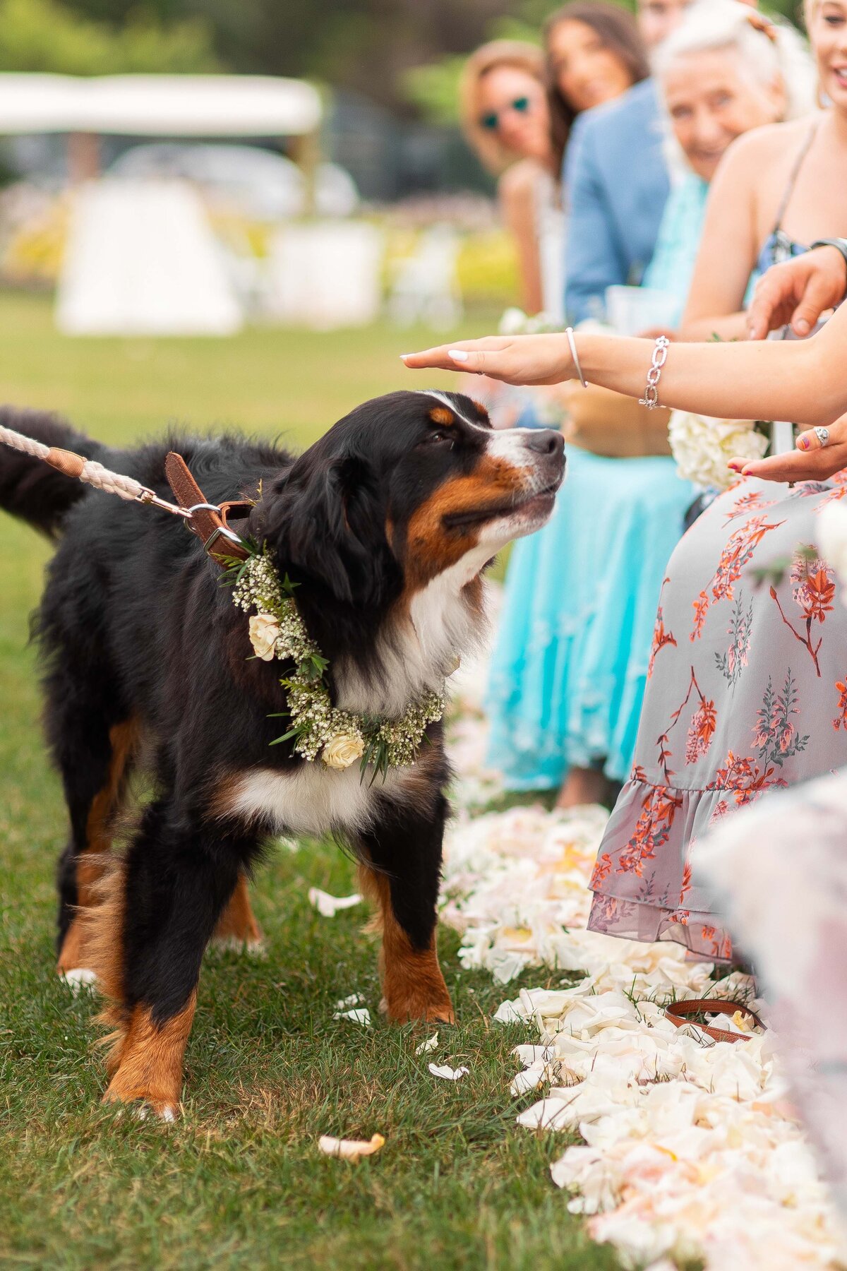 castle-hill-inn-wedding-ceremony