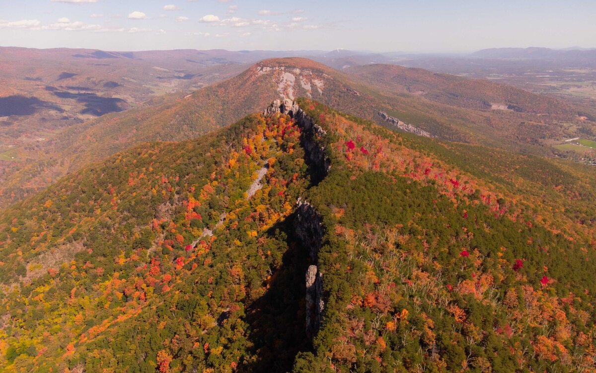 DJI_0017