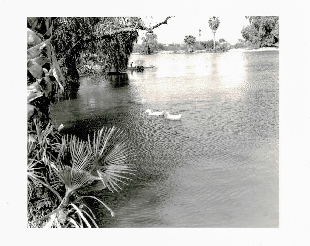 darkroomprintscan-38