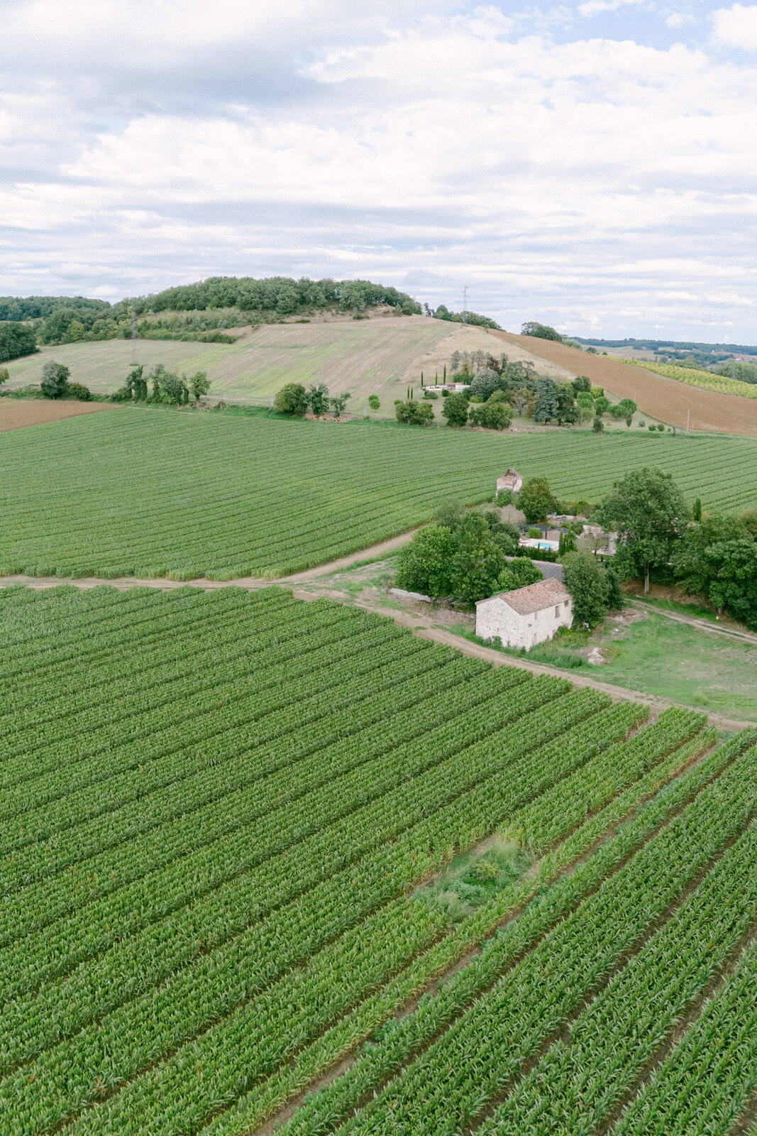Chateau Naudou Wedding Bordeaux (192 sur 222)