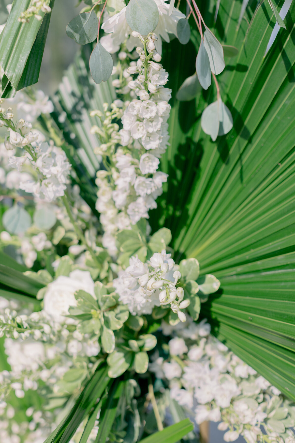 E&F_WeddingTSP_4955