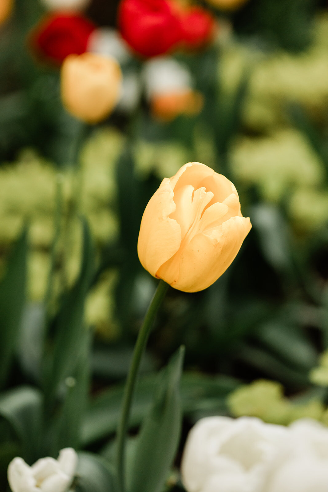 HopeMaternity-160_websize