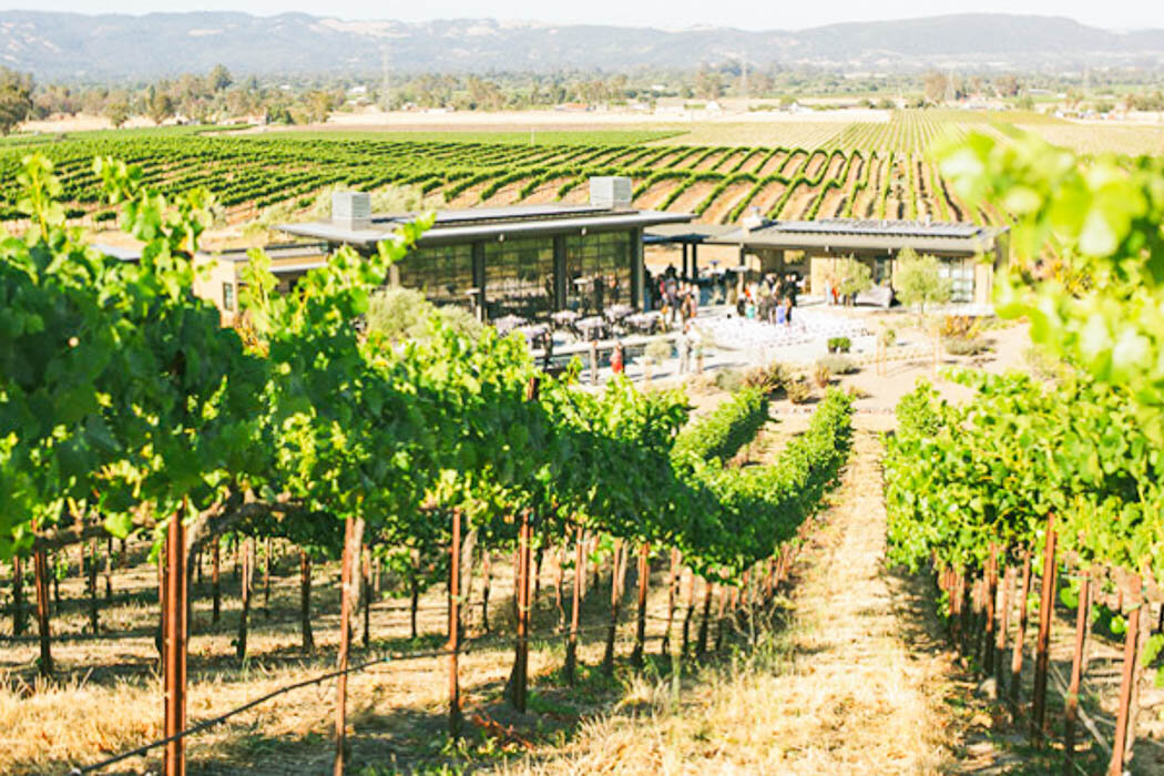 jacqueline_campbell_photography_sonoma_california_wedding_32