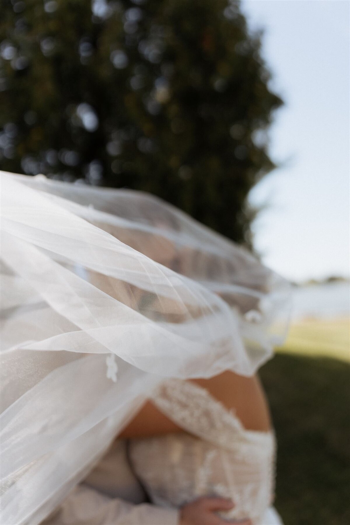 DSC03394_websize