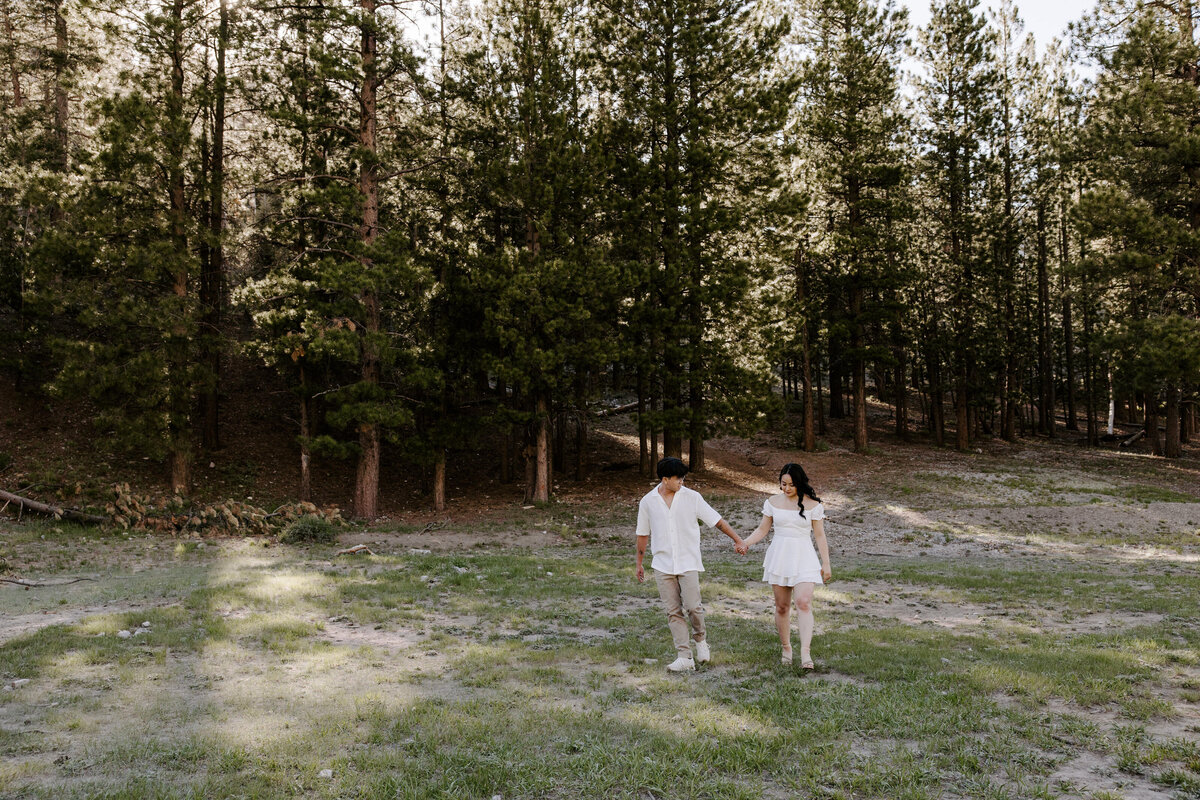 Partners hold hands near the woods at Mt Charleston.
