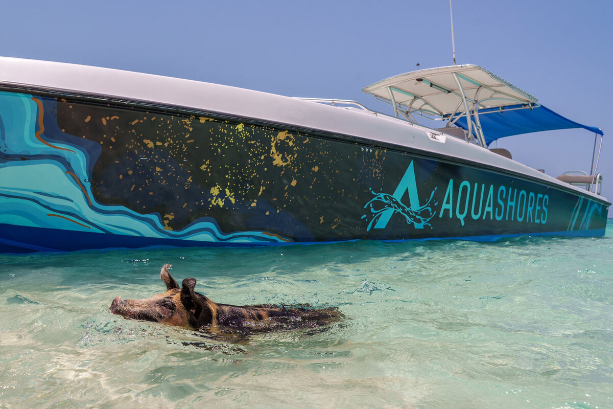 Aqua-Shores-Rose-Island-47