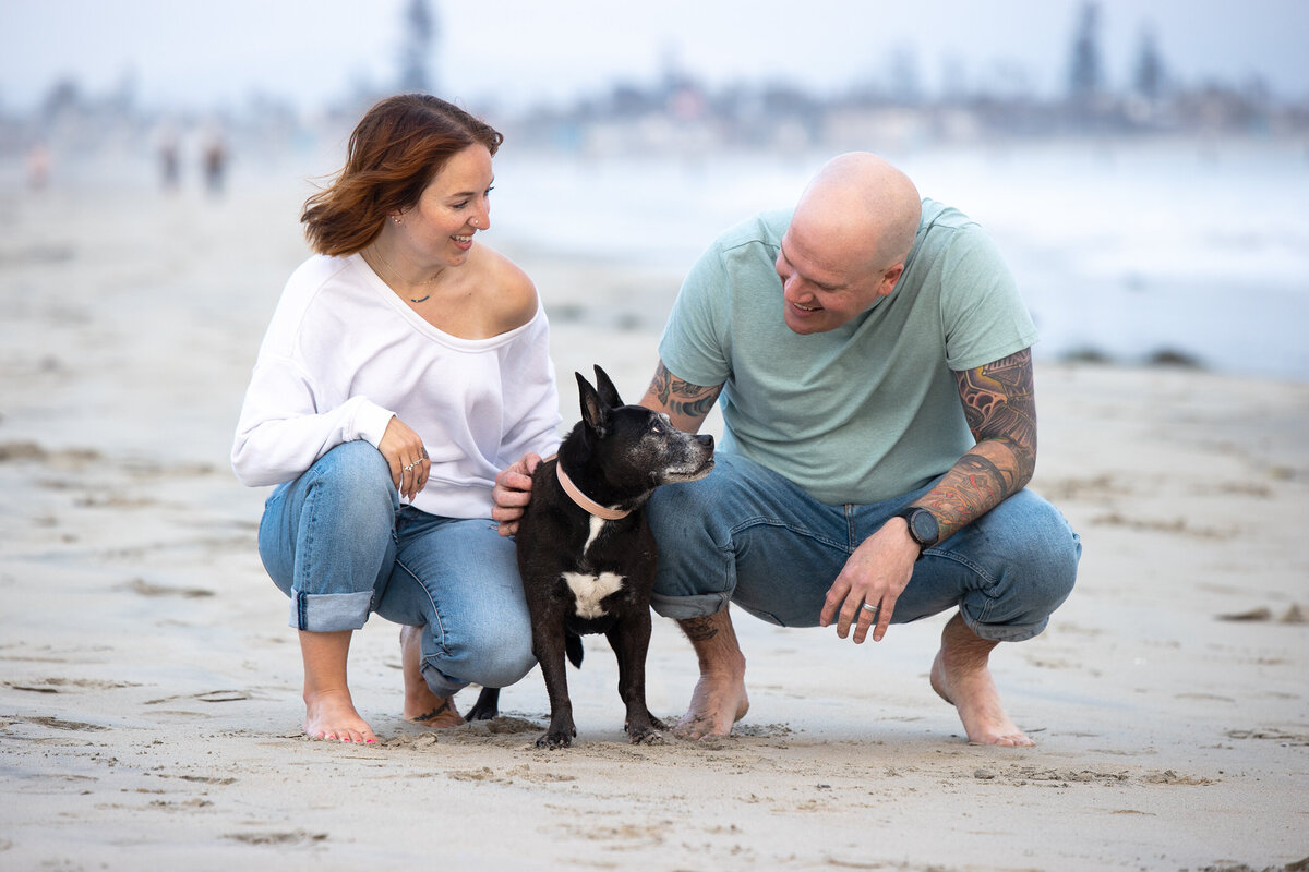 pet photography licensing 5 copy