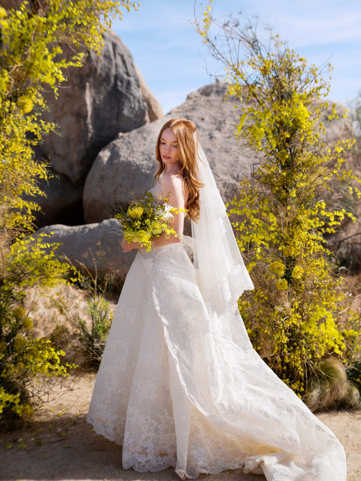 joshua-tree-ruth-yang-photo-4