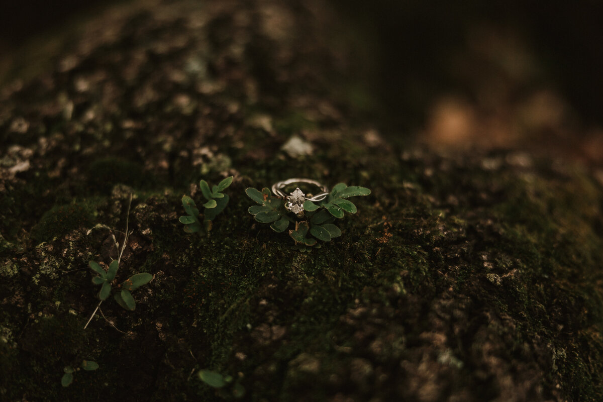 Meagan & Kyle - Payton Hartsell Photography-409
