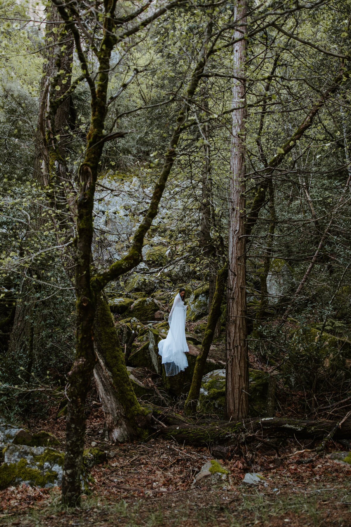 Yosemite Elopement-40