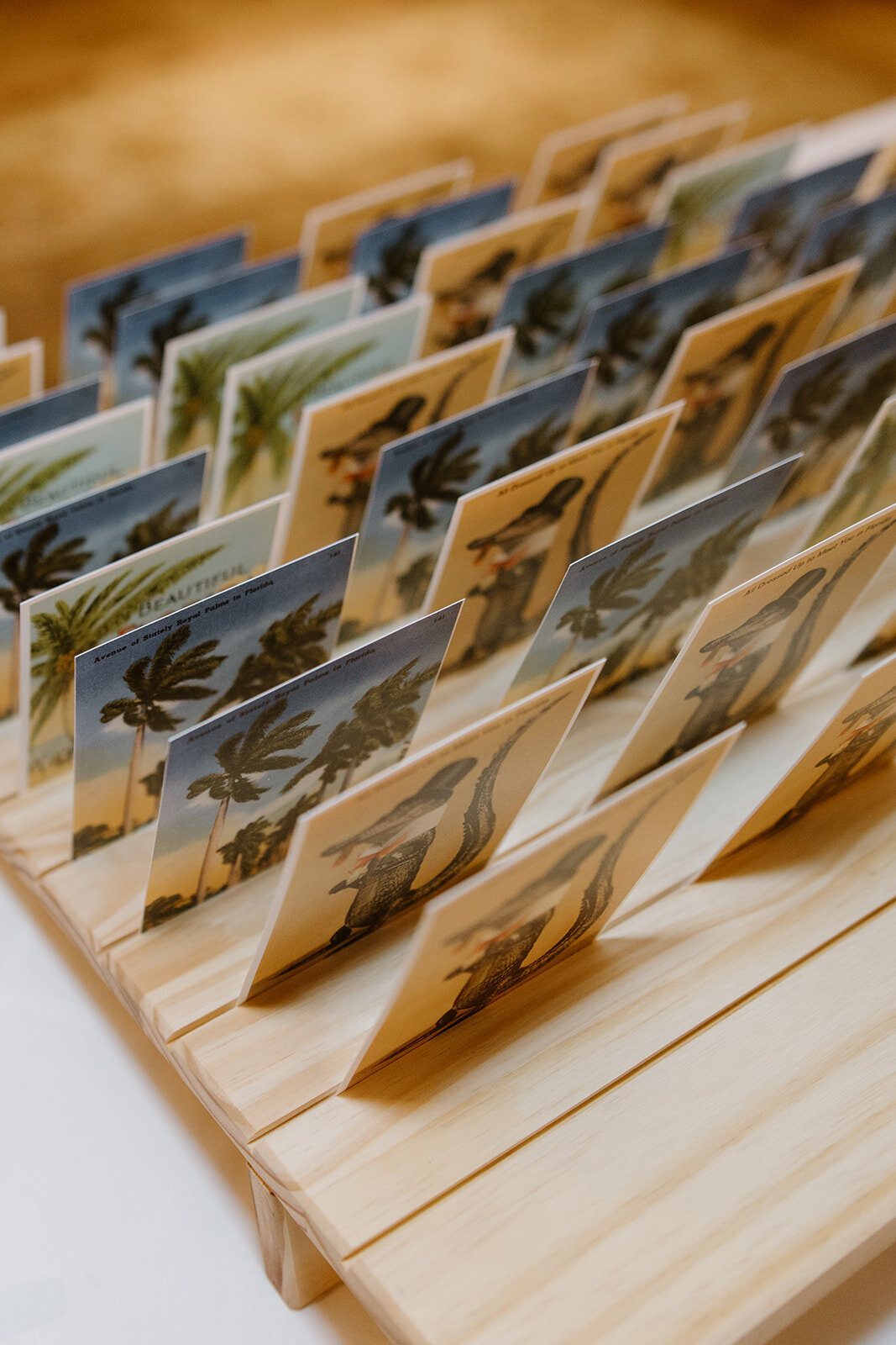 db-wedding-gracetorresphoto-588 (1)