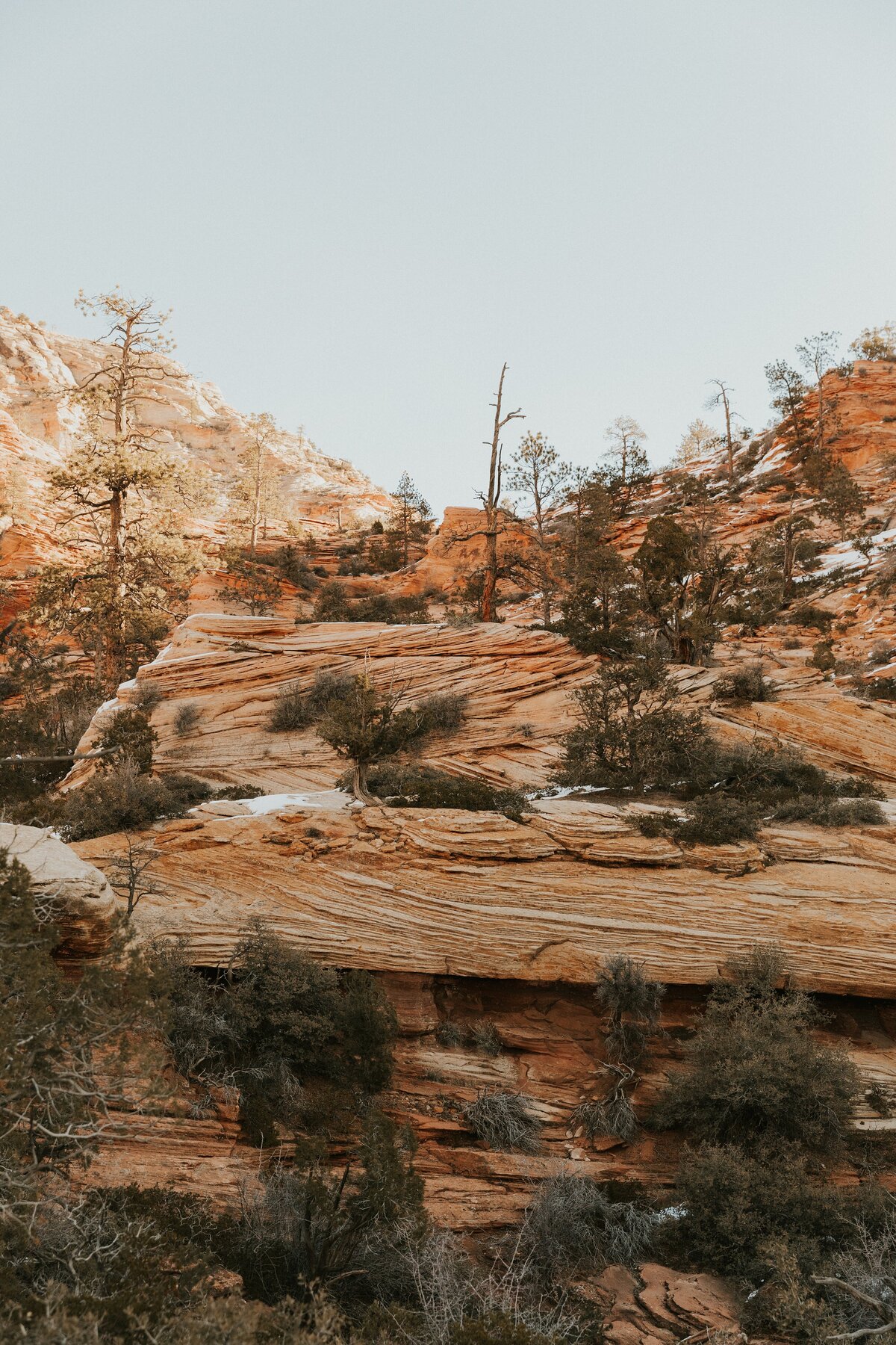 Zion-National-Park-15