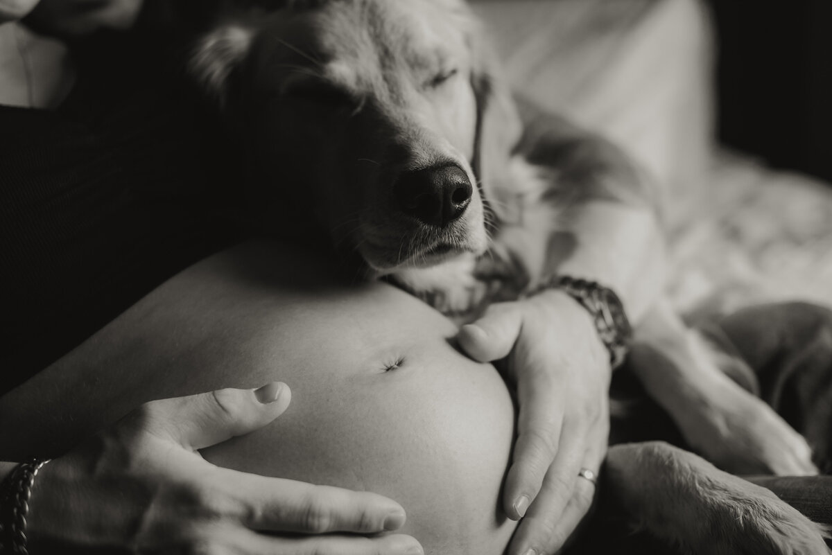Melissa & Kale_s Maternity Session Dec 16_ 2023 - Shania Crivelli Photography-114