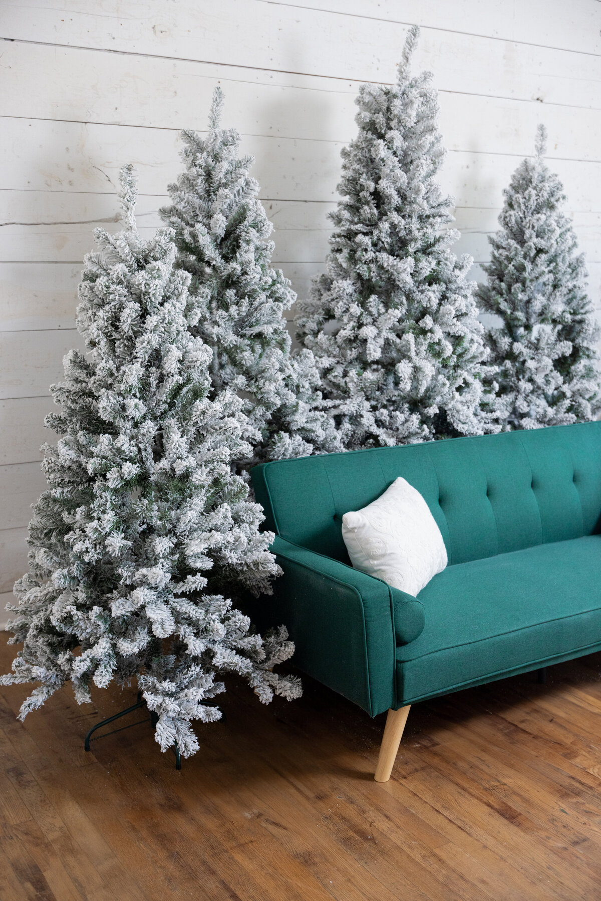 christmaspromo-3