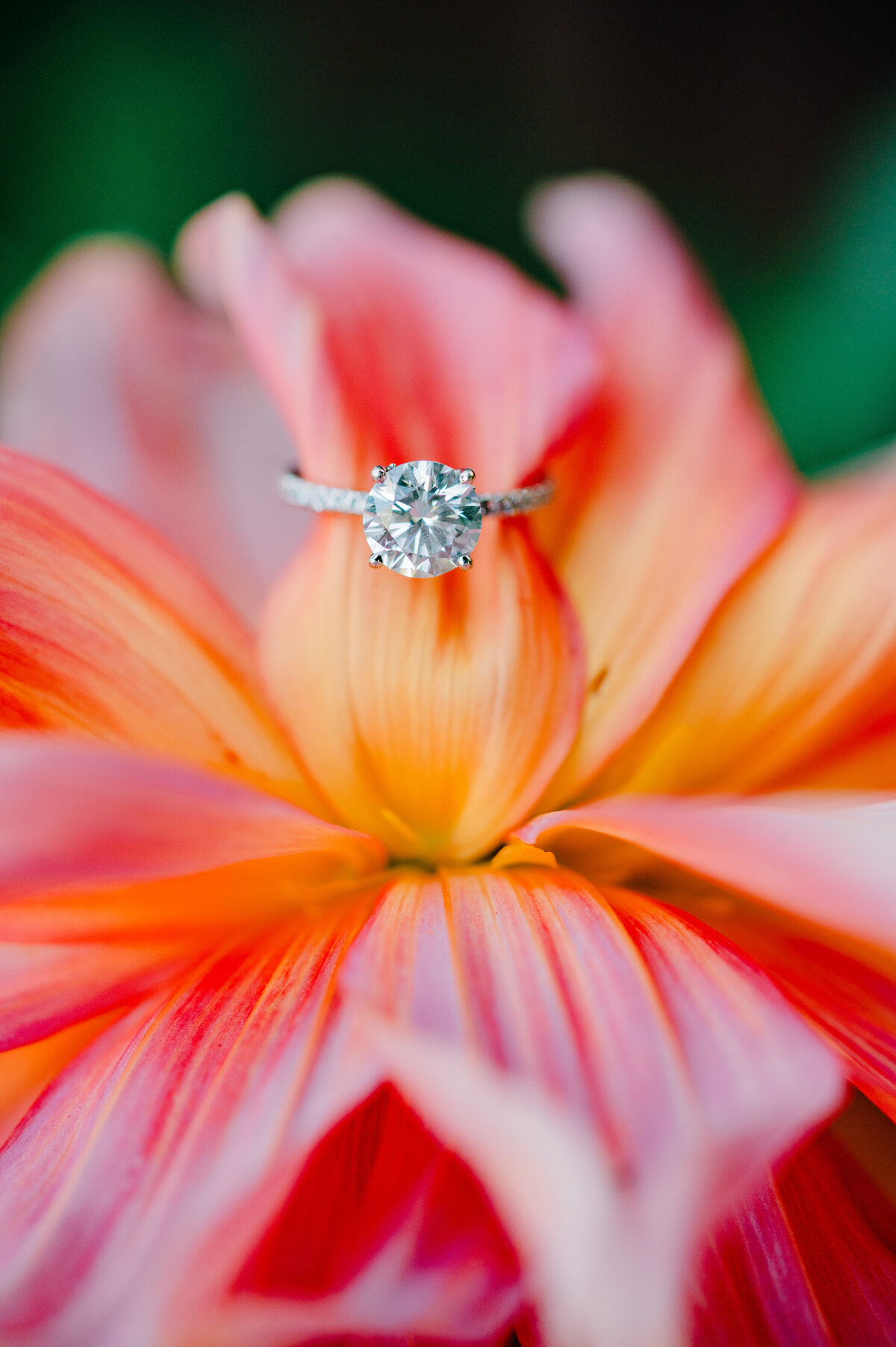 deepcreekphotographer-7015