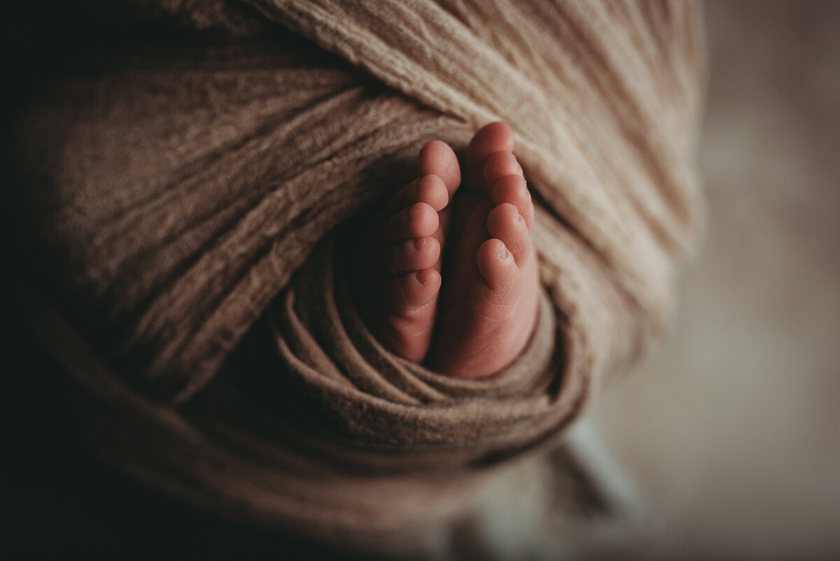 columbus-ohio-newborn-photographer-8